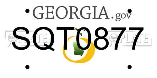 SQT0877 Georgia License Plate