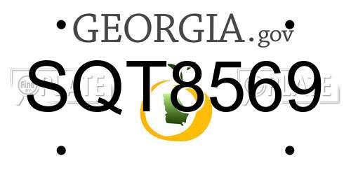 SQT8569 Georgia License Plate