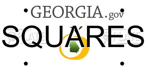 SQUARES Georgia License Plate