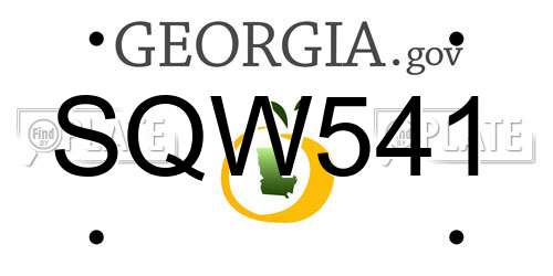 SQW541 Georgia License Plate