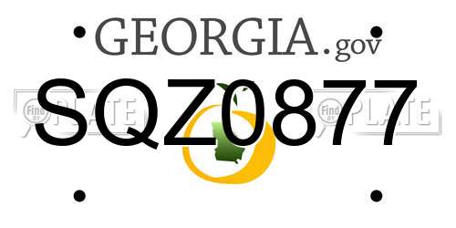 SQZ0877 Georgia License Plate