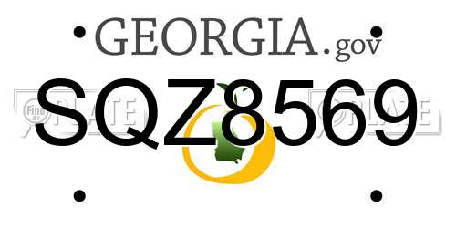 SQZ8569 Georgia License Plate