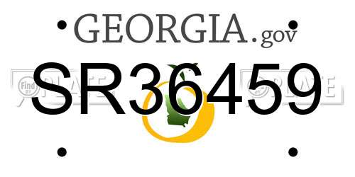 SR36459 Georgia License Plate