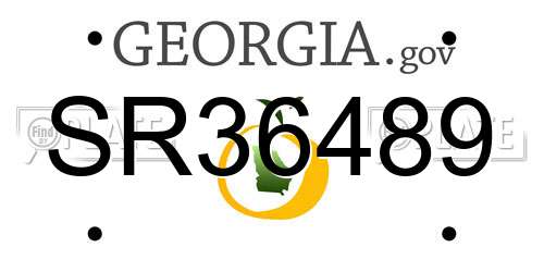 SR36489 Georgia License Plate