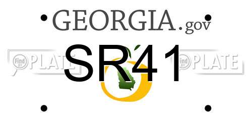 SR41 Georgia License Plate
