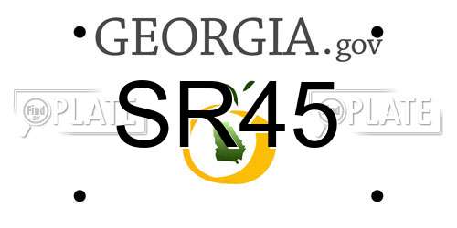 SR45 Georgia License Plate