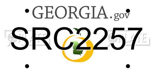 SRC2257 Georgia License Plate