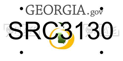 SRC3130 Georgia License Plate