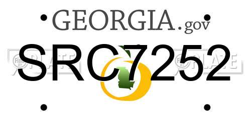SRC7252 Georgia License Plate
