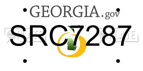 SRC7287 Georgia License Plate