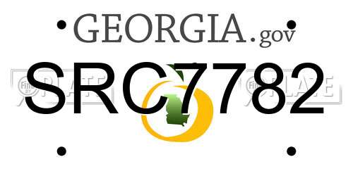 SRC7782 Georgia License Plate
