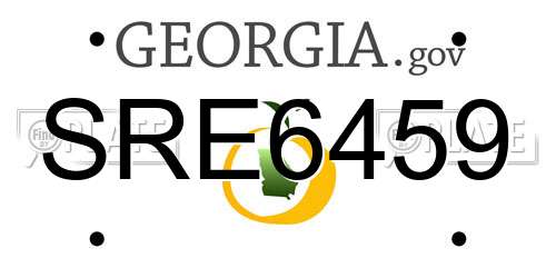 SRE6459 Georgia License Plate