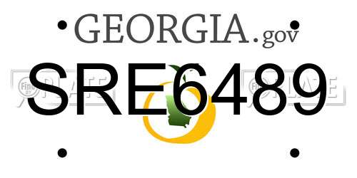 SRE6489 Georgia License Plate