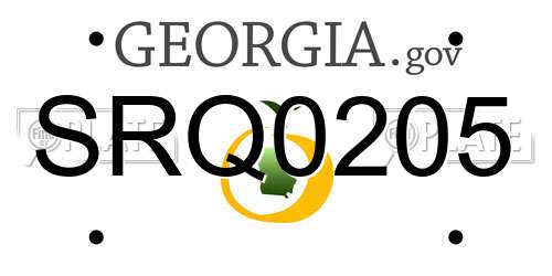 SRQ0205 Georgia License Plate