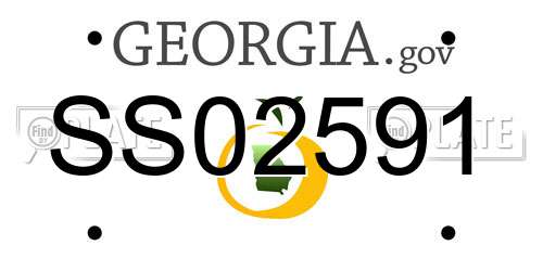 SS02591 Georgia License Plate