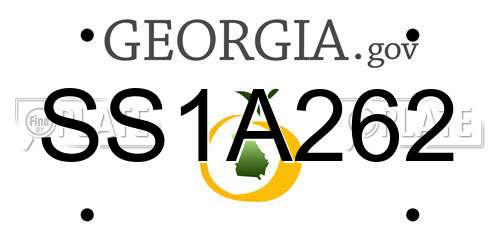 SS1A262 Georgia License Plate