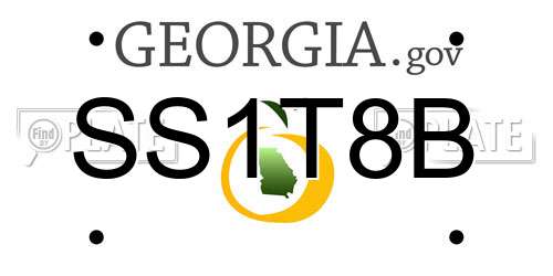 SS1T8B Georgia License Plate