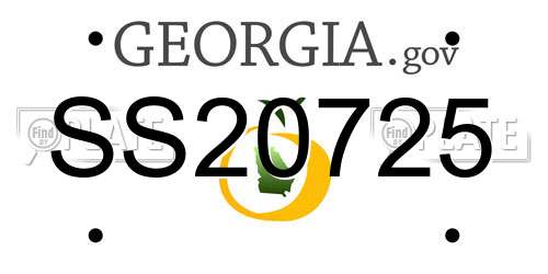 SS20725 Georgia License Plate
