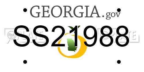 SS21988 Georgia License Plate