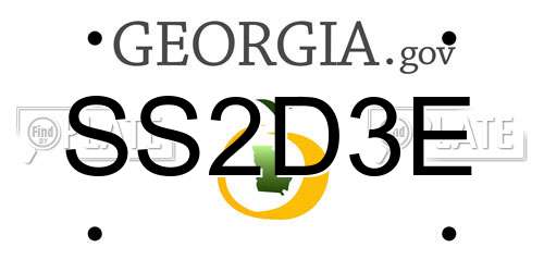 SS2D3E Georgia License Plate