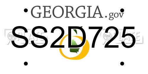 SS2D725 Georgia License Plate