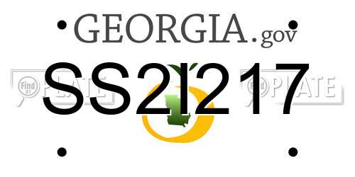SS2I217 Georgia License Plate