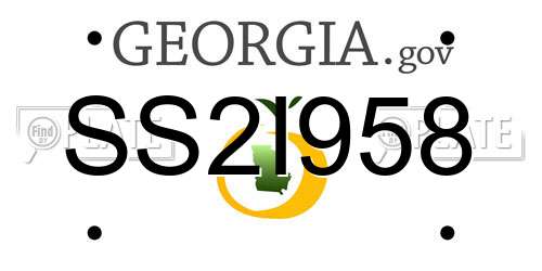 SS2I958 Georgia License Plate