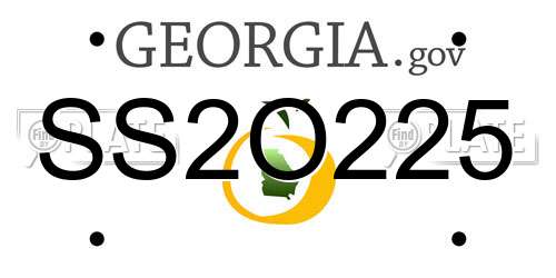 SS2O225 Georgia License Plate