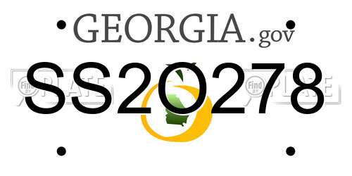 SS2O278 Georgia License Plate