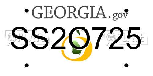 SS2O725 Georgia License Plate