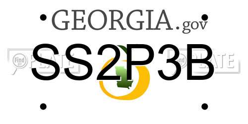 SS2P3B Georgia License Plate