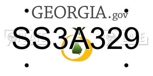 SS3A329 Georgia License Plate