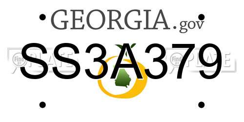SS3A379 Georgia License Plate
