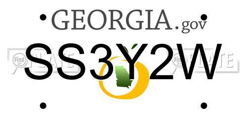 SS3Y2W Georgia License Plate