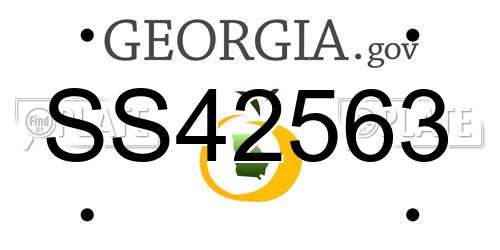 SS42563 Georgia License Plate