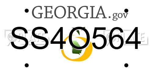 SS4O564 Georgia License Plate
