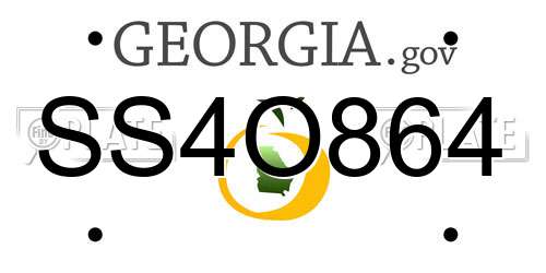 SS4O864 Georgia License Plate