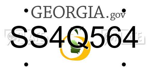 SS4Q564 Georgia License Plate