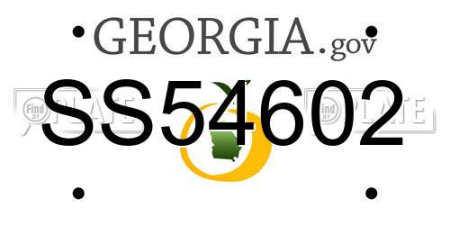 SS54602 Georgia License Plate