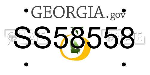 SS58558 Georgia License Plate