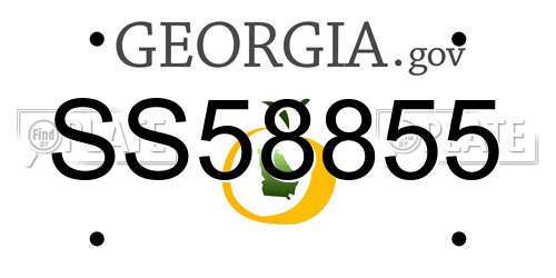 SS58855 Georgia License Plate