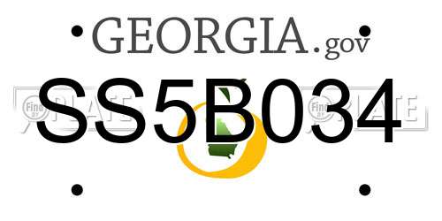 SS5B034 Georgia License Plate