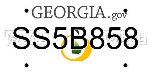 SS5B858 Georgia License Plate