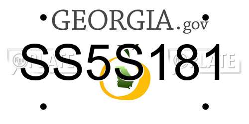 SS5S181 Georgia License Plate