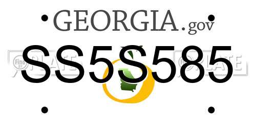 SS5S585 Georgia License Plate
