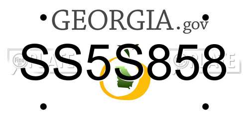 SS5S858 Georgia License Plate