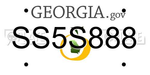 SS5S888 Georgia License Plate
