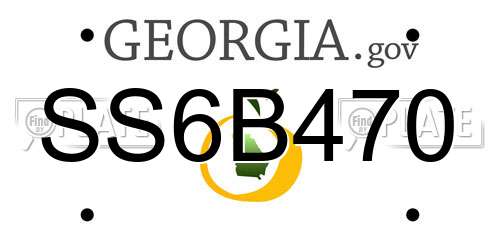 SS6B470 Georgia License Plate
