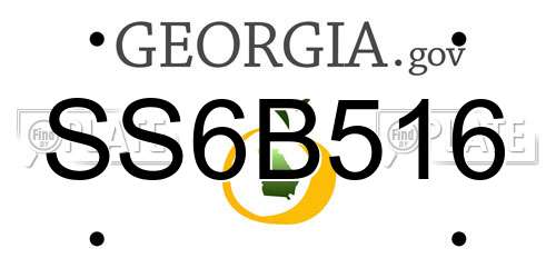 SS6B516 Georgia License Plate