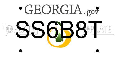 SS6B8T Georgia License Plate